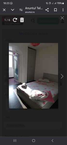 Stefan cel Mare, Bucur Obor,